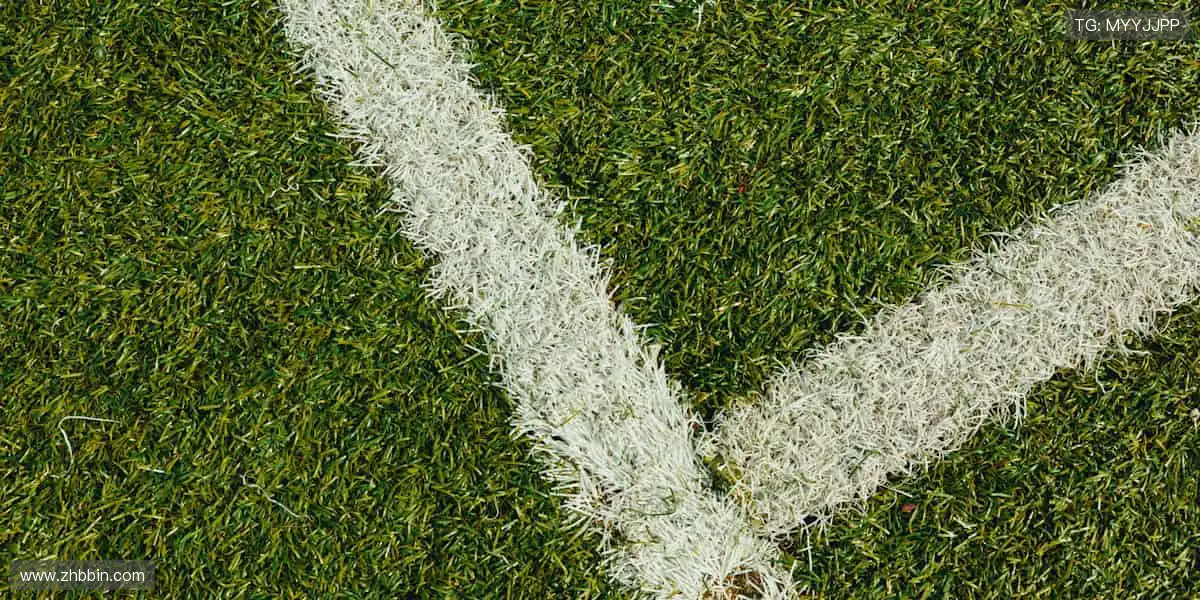 五子棋手机游戏网:黑白对弈五子连珠,攻守博弈乐趣无穷